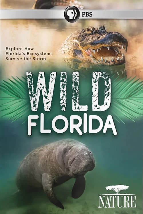 Wild Florida official trailer poster