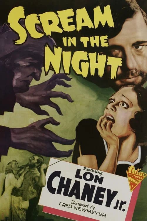A Scream in the Night official trailer poster
