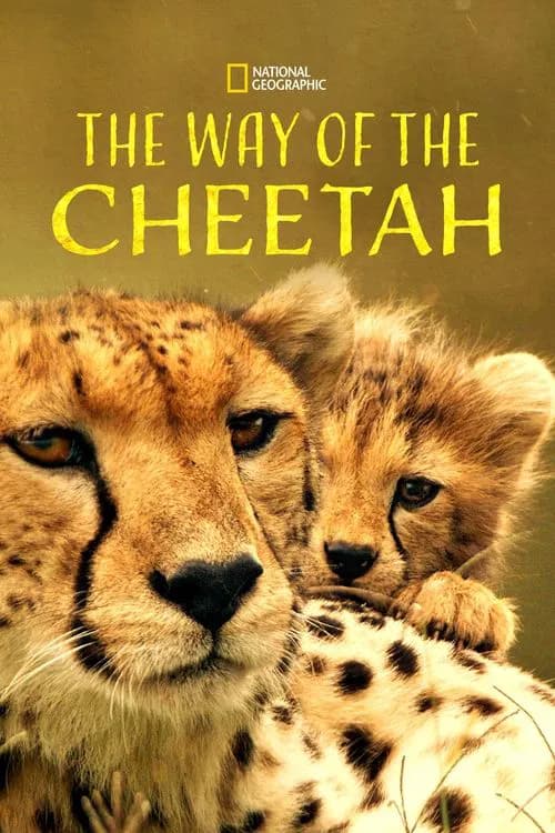 The Way of the Cheetah official trailer poster