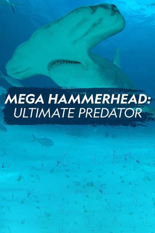 Mega Hammerhead: Ultimate Predator official trailer poster