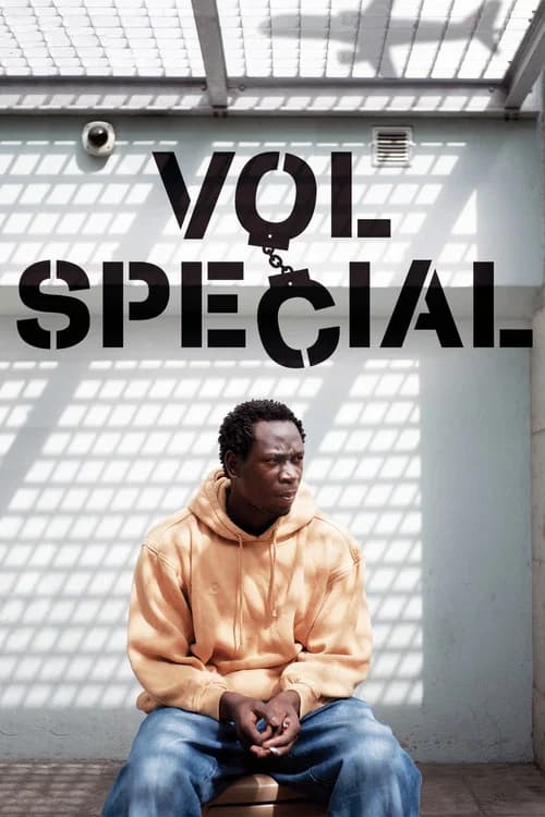 Special Flight official trailer poster