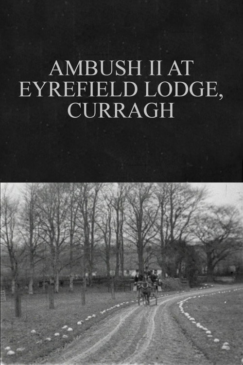 Ambush II at Eyrefield Lodge, Curragh official trailer poster