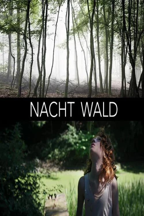Nacht Wald official trailer poster