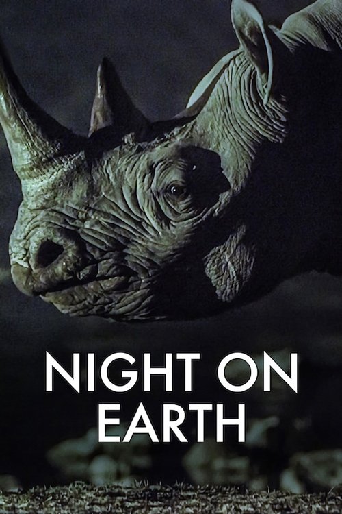 Night on Earth official trailer poster