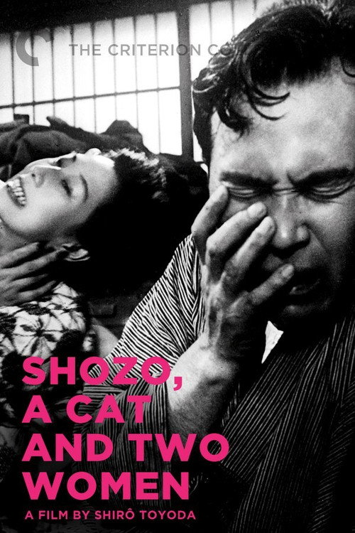 Shozo, a Cat and Two Women official trailer poster