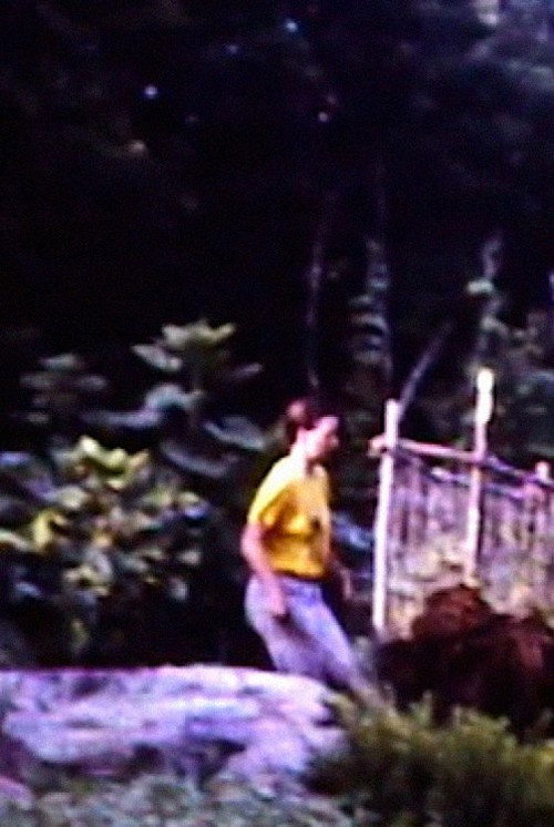 Monterey '84 official trailer poster