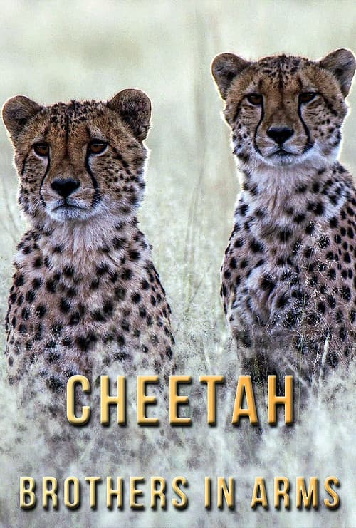 Cheetah Brothers in Arms official trailer poster