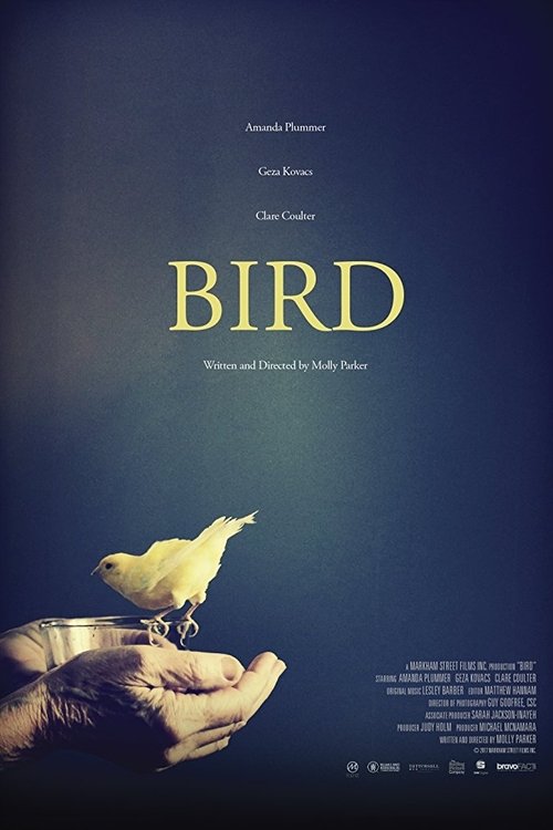 Bird official trailer poster
