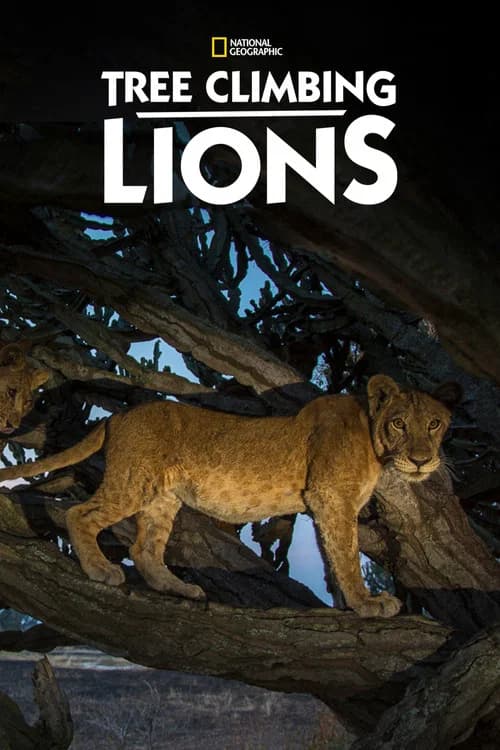 Tree Climbing Lions official trailer poster
