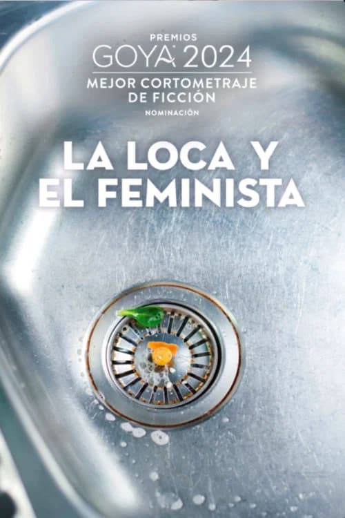 The madwoman and the feminist official trailer poster