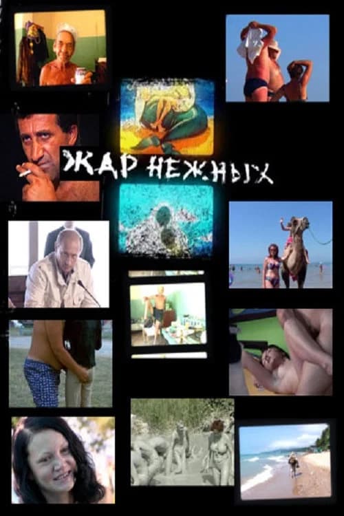 Tender's Heat: Wild Wild Beach official trailer poster