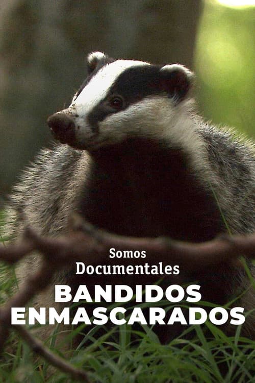 Masked Bandits official trailer poster