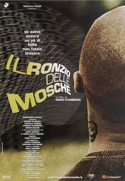 Il ronzio delle mosche official trailer poster
