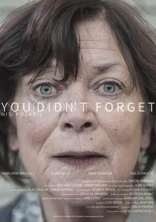 You Didn't Forget official trailer poster