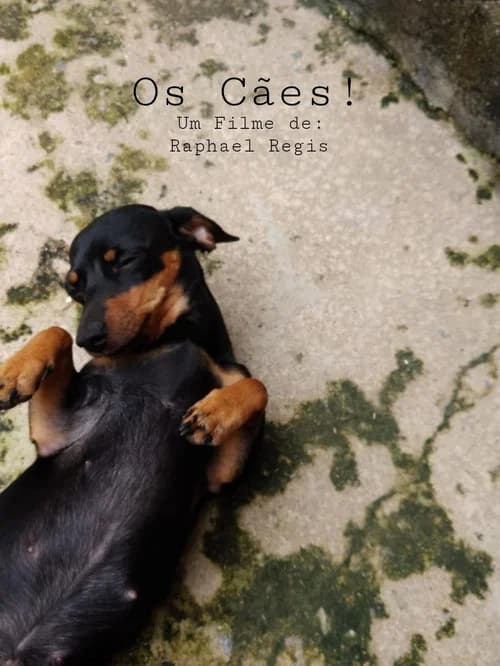 Os Cães! official trailer poster