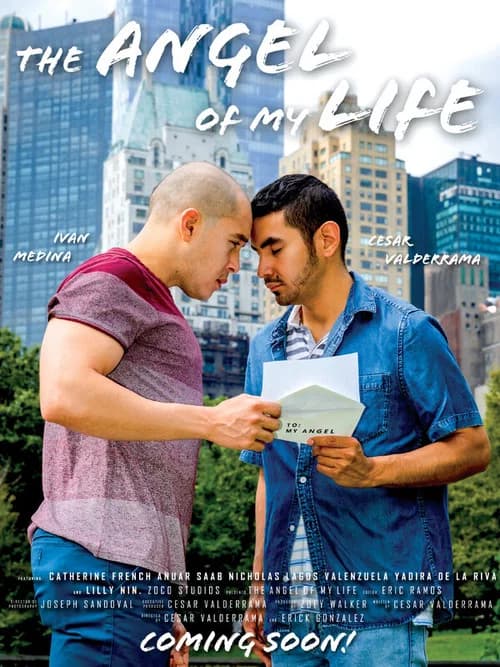 The Angel of My Life official trailer poster