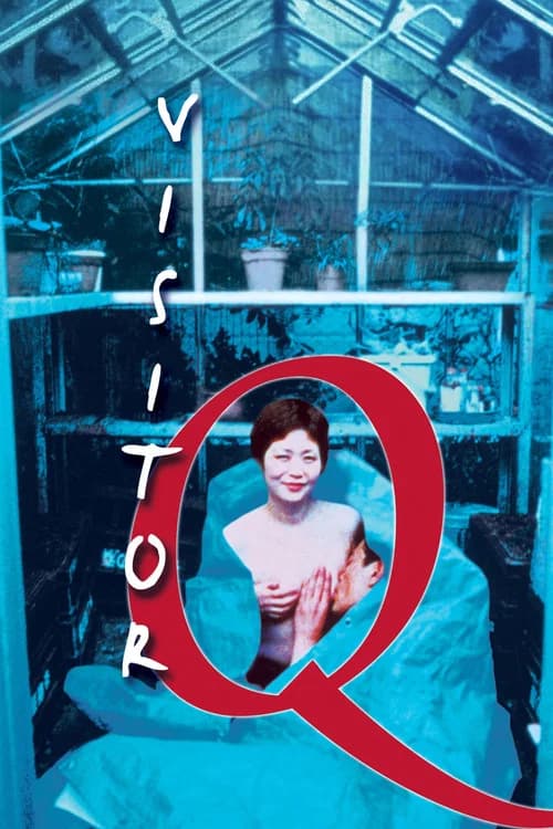 Visitor Q official trailer poster