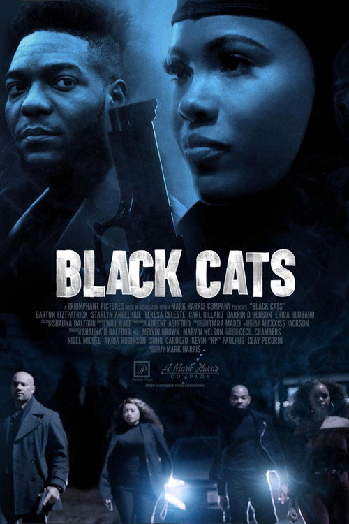 Black Cats official trailer poster