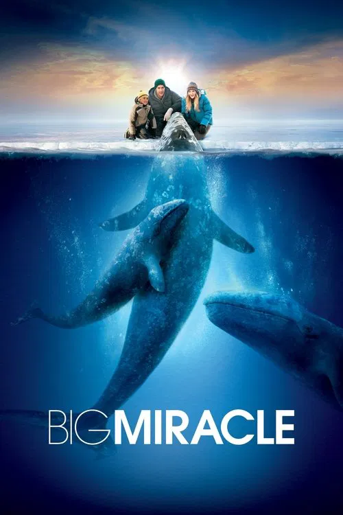 Big Miracle official trailer poster