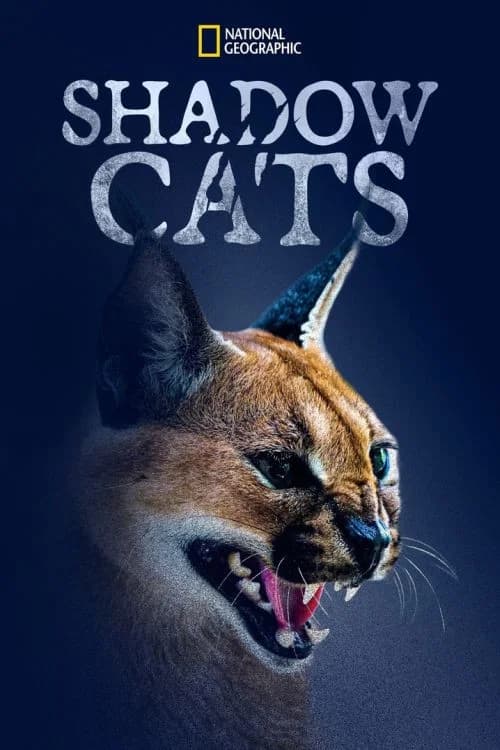 Shadow Cats official trailer poster