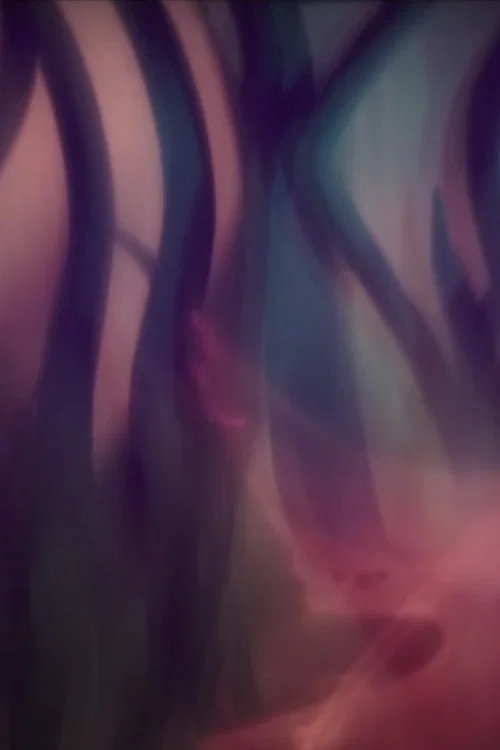 Luccata, Opus 162 official trailer poster