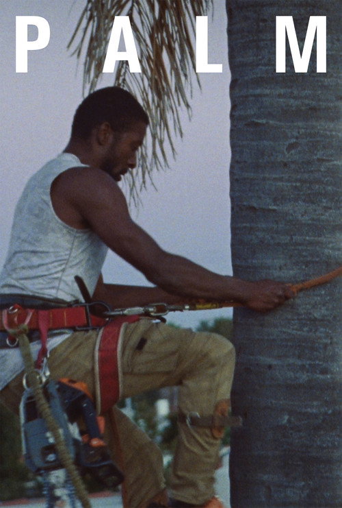 Palm official trailer poster
