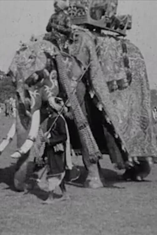 Calcutta Pageant official trailer poster