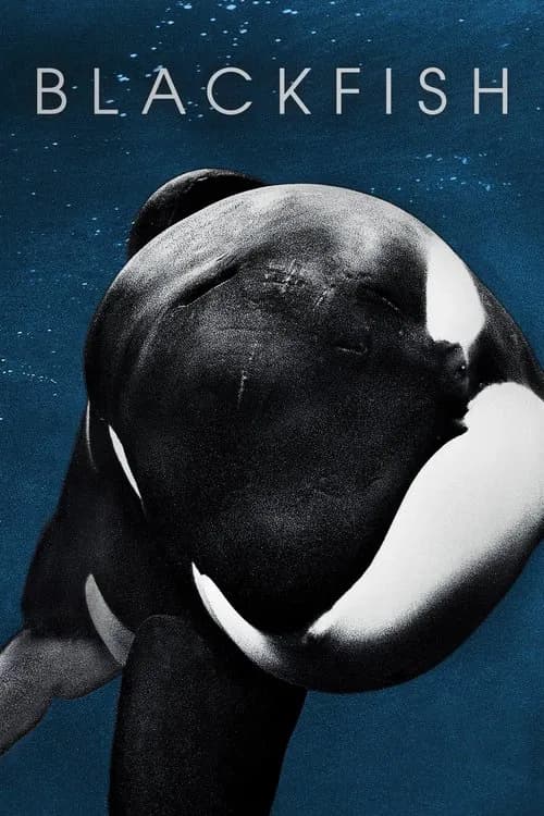 Blackfish official trailer poster