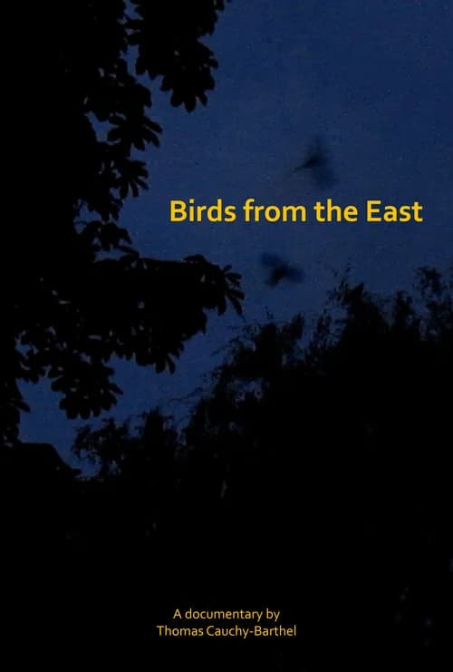 Les oiseaux de l'Est official trailer poster