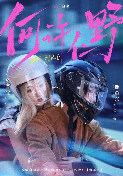 何许仁野 official trailer poster