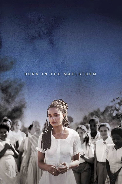 Born in the Maelstrom official trailer poster
