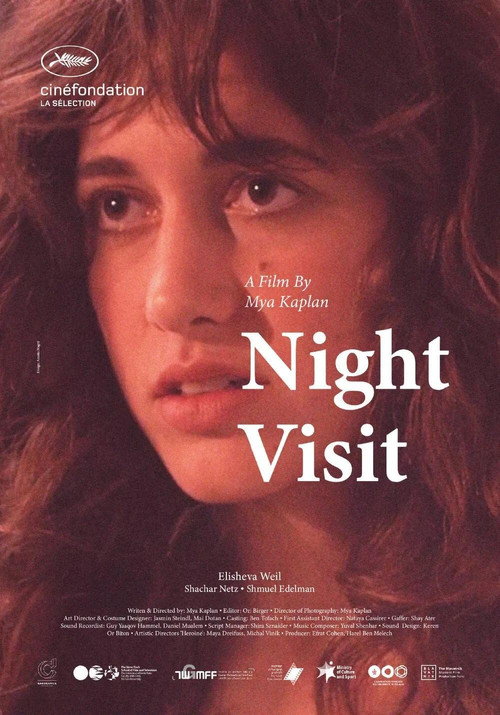 Night Visit official trailer poster