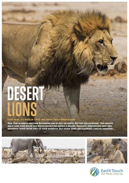 Desert Lions official trailer poster