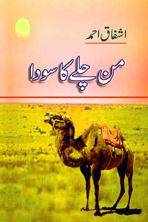 Mann Chalay Ka Sauda official trailer poster