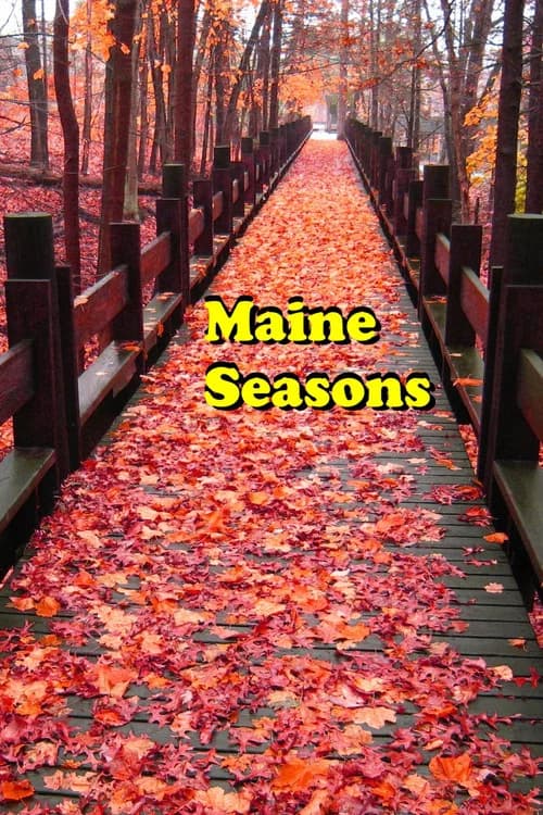Maine Seasons official trailer poster