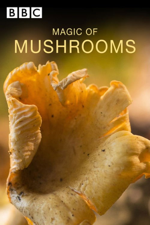 The Magic of Mushrooms official trailer poster