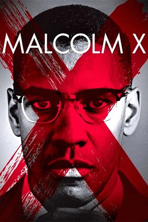 Malcolm X official trailer poster