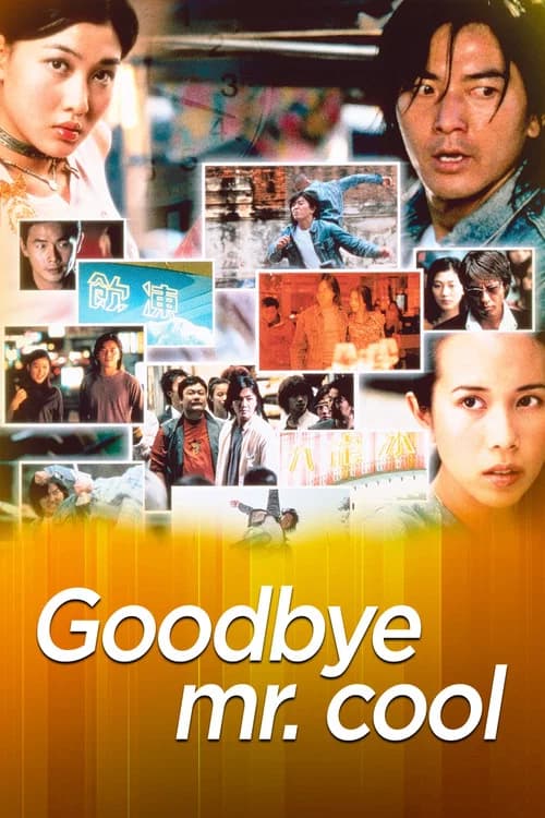 Goodbye, Mr. Cool official trailer poster