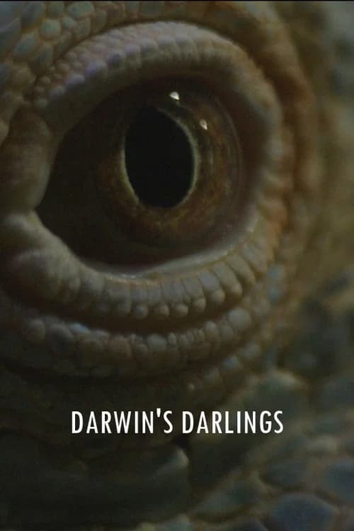 Darwin's Darlings official trailer poster