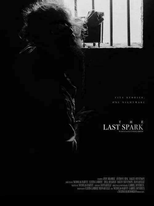 The Last Spark official trailer poster