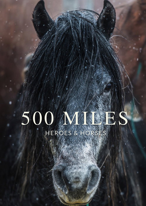 500 Miles - The Story of Ranchers and Horses official trailer poster