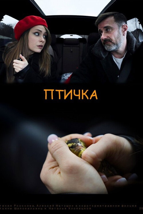 The Birdie official trailer poster