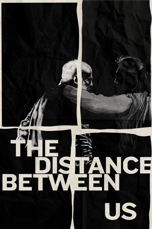 The Distance Between Us official trailer poster