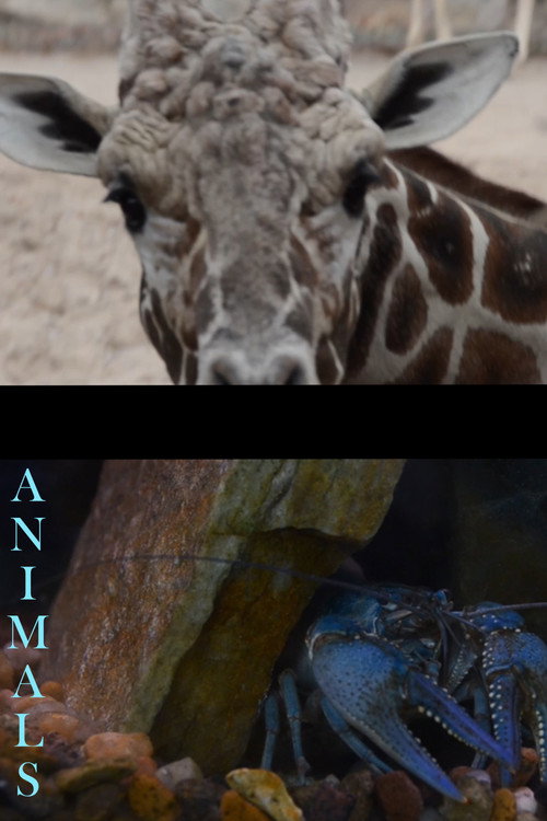 Animals official trailer poster