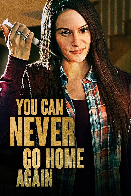 You Can Never Go Home Again official trailer poster