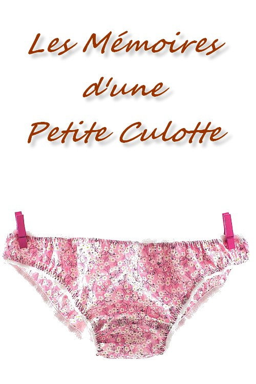 Les Mémoires d'une petite culotte official trailer poster