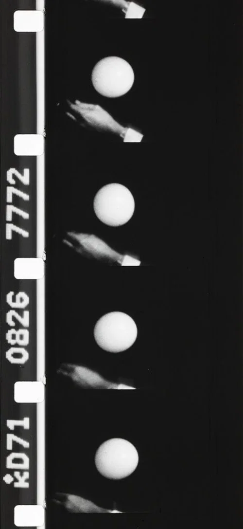 Self-Portrait or What We All Miss official trailer poster