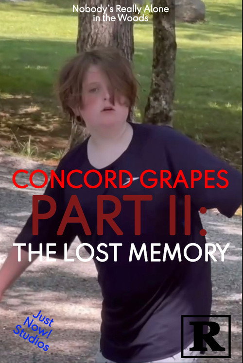 Concord Grapes Part II: The Lost Memory official trailer poster