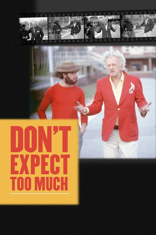 Don't Expect Too Much official trailer poster