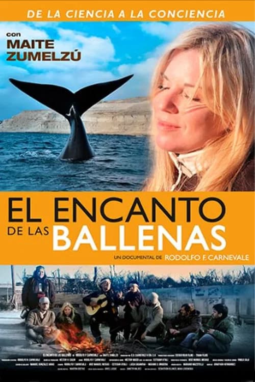 The Charm of Whales official trailer poster